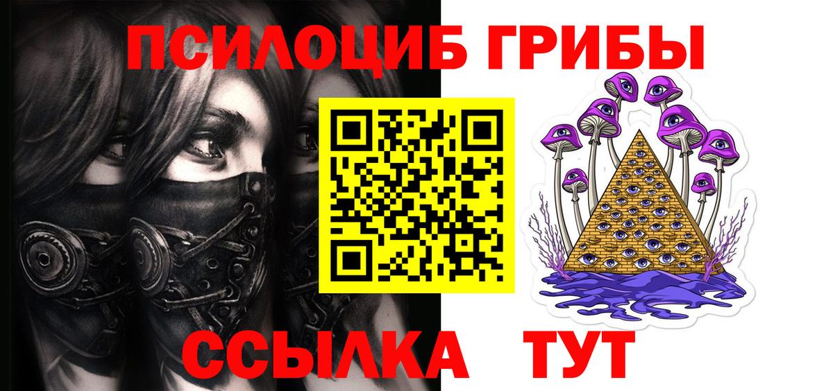 Алейск  Галлюциногенные грибы Psilocybe  Вход с VPN 